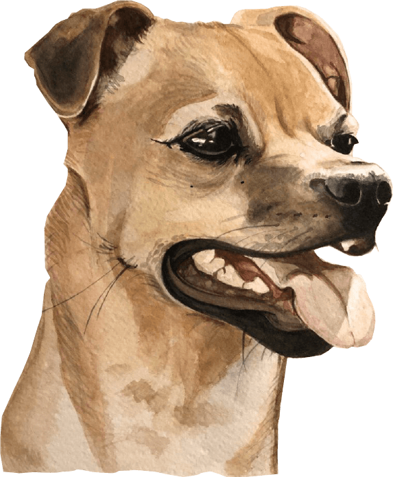 Featured watercolour dog portrait