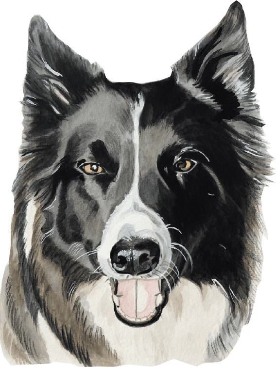 Best friend watercolour portrait