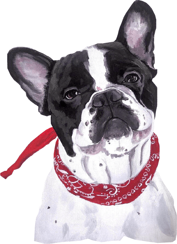 Soft ears watercolour portrait