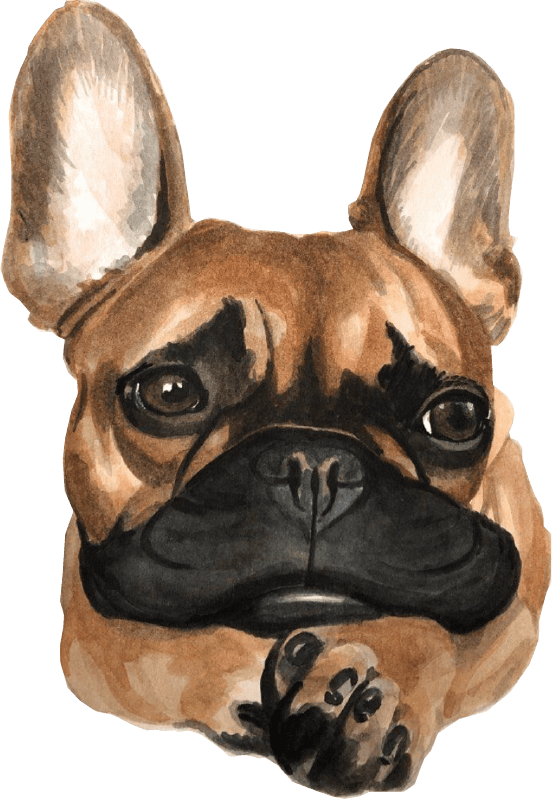 Good boy watercolour portrait