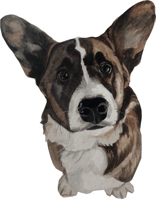 Faithful watercolour portrait